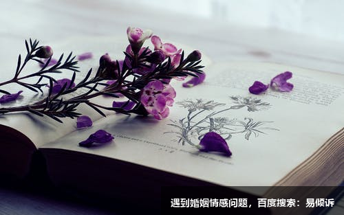 爱情里的分寸感到底是什么