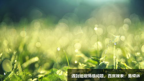 郑老师心理咨询师-擅长两性心理、情绪疏导、情绪压力、亲子教育、心理健康