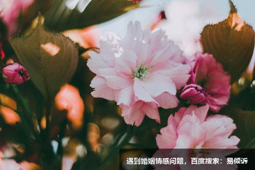 孙玉琳心理咨询师/情感倾诉师，擅长婚姻恋爱等亲密关系中的情绪疏导