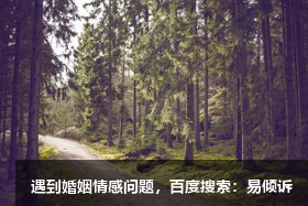 刘琼心理咨询师/倾诉师-探寻你更丰富的空间