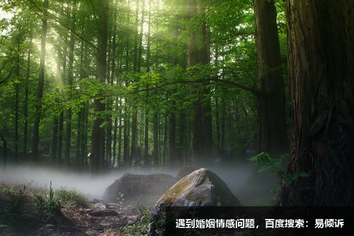 吴倩心理咨询师-擅长叙事治疗，心理动力取向，儿童游戏治疗，意象对话