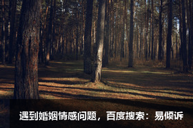 柴媛心理咨询师/倾诉师，了解情绪管理抑郁、焦虑等问题