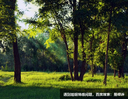 张庆心理咨询师/倾诉师-总有一道亮光在温暖着我们