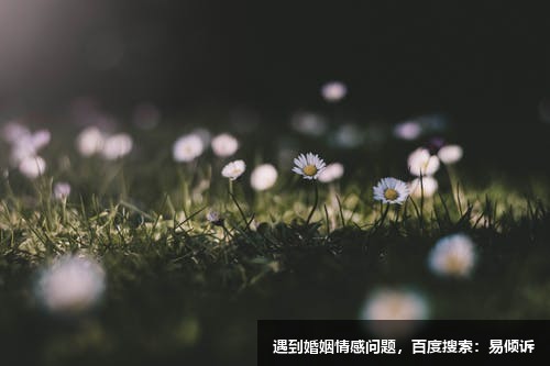 陈爱华心理咨询师/倾诉师-温和而坚定/清晰而简洁