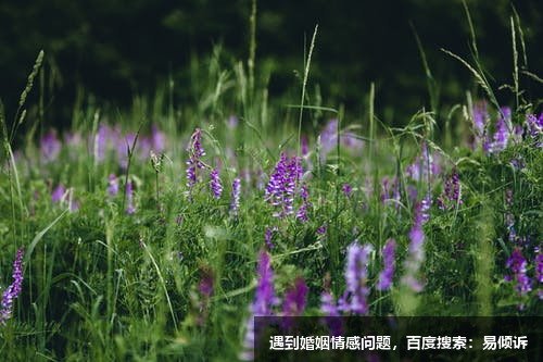 杨幂公开恋爱吸引力法则：更多的关注自己