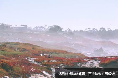 情感语录丨感情如风，来时如狂风暴雨，走时却是无影无踪