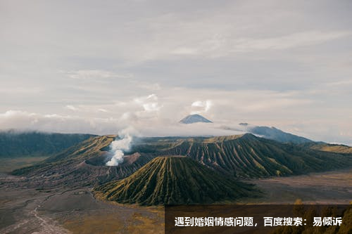 木木情感咨询师-促进自我成长，自我觉察