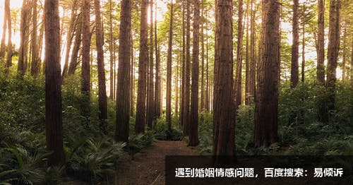 晓霞心理咨询师-一对一指导，让你看清造成困扰的本质