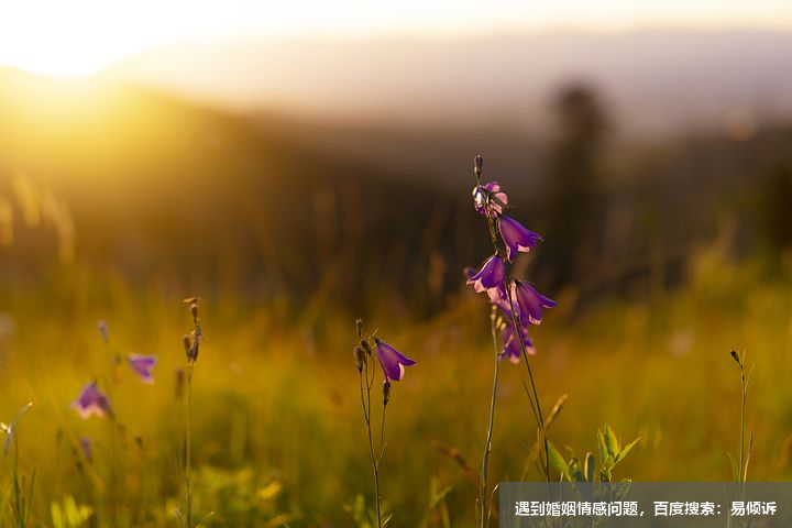 刚加微信的女生怎么聊天？从这两个方面入手，更容易拿下她