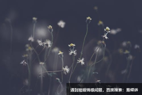 三种背叛是不建议挽回
