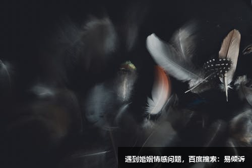 舒幼娥心理咨询师/倾诉师-每个人都有一株玫瑰