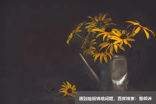 黄文君心理咨询师-擅长认知行为疗法，人本主义取向，家庭治疗，短期焦点治疗