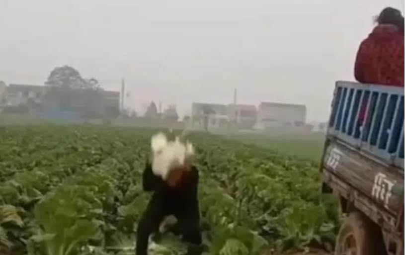互联网摆拍现象不断：别再收割爱心和流量了！