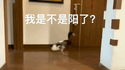 网上冒出“幻阳症”？保持情绪稳定，提高心理韧性