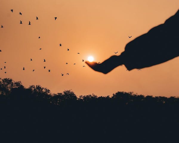 赵帆心理咨询师-擅长心理动力取向，客体关系取向，自体心理学