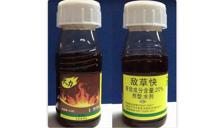 20岁大学生被房东“骂死”，真相背后耐人寻味...