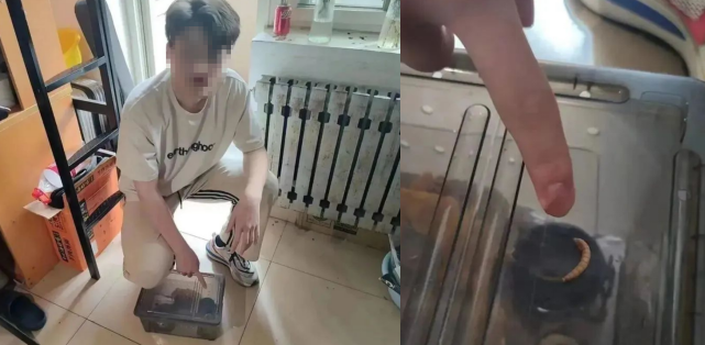 男大学生用虫子做出操作：网友们凌乱了....