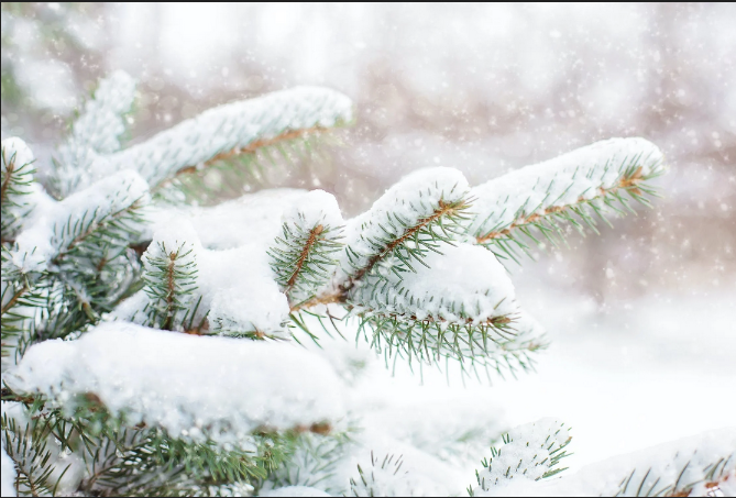 下雪了说几句暖心的话，不妨收藏起来慢慢看！