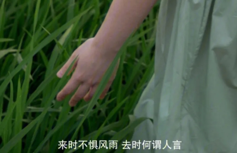 单身恐惧，解析成因、影响与应对策略