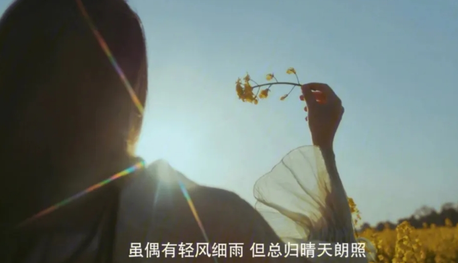 婚姻满意度的时代变迁：从“一生一人”到“幸福多元”的探索