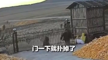 黑龙江再现老虎伤人！村民回忆，伤者被扑倒在地，无辜牛儿也被咬！